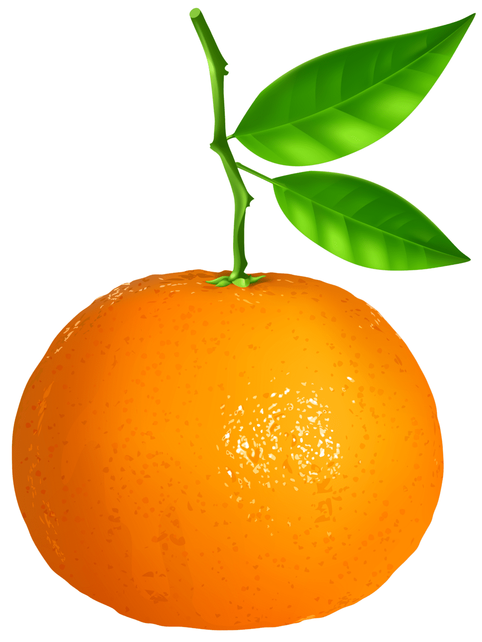 Fruits tangerine clipart image yopriceville high quality images and art silhouette