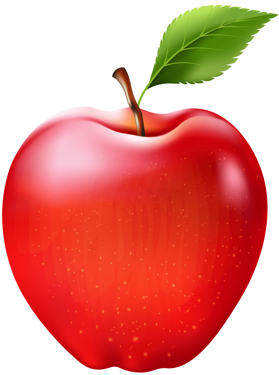 Fruits apple clipart image