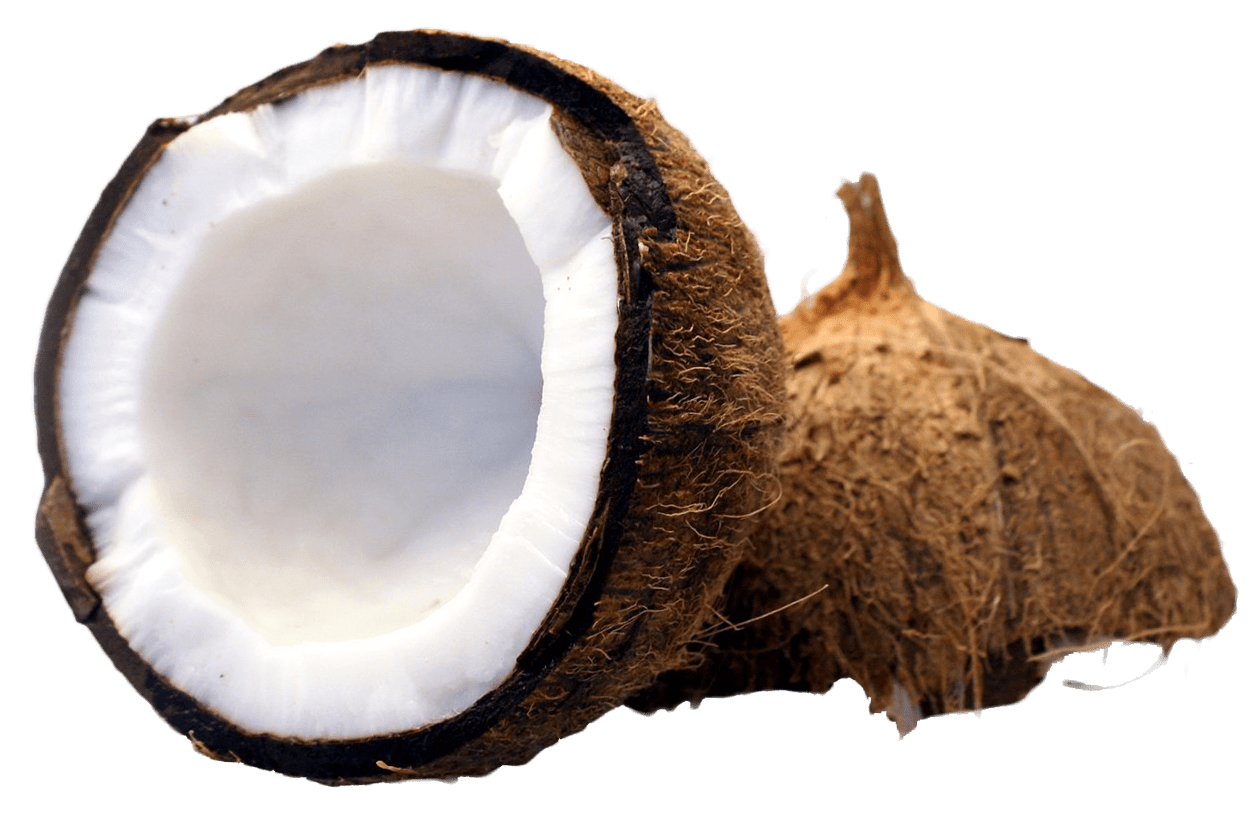 Coconut cut in half clipart background