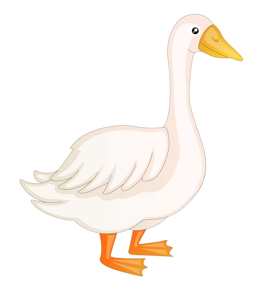 Goose pin de en aves corral pato criollo ave clipart free