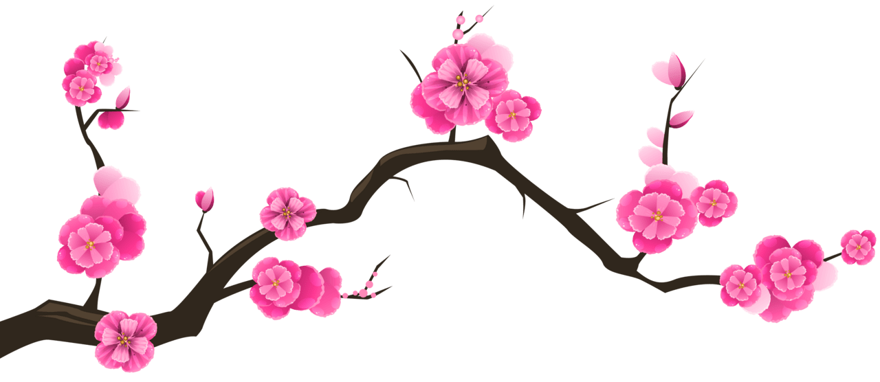 Sakura branch clipart image yopriceville high quality images and transpare anime cherry blossom flower drawing