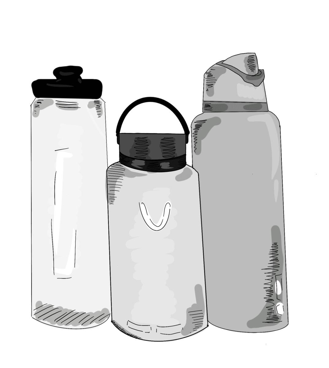 Drink bottle students and staff find sustainable ways to stay hydrated the roar clipart transparent