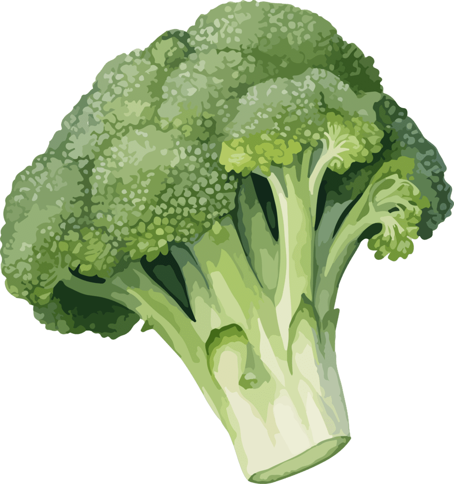 Broccoli clipart design clip art