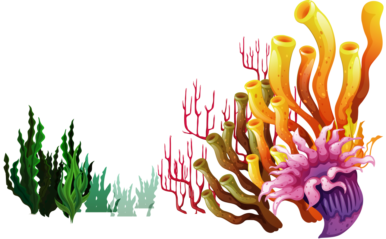 Coral pin page clipart logo