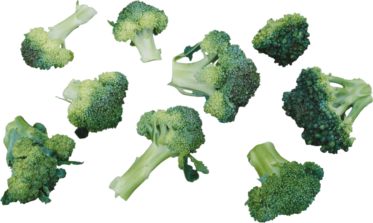 Broccoli image size clipart 8