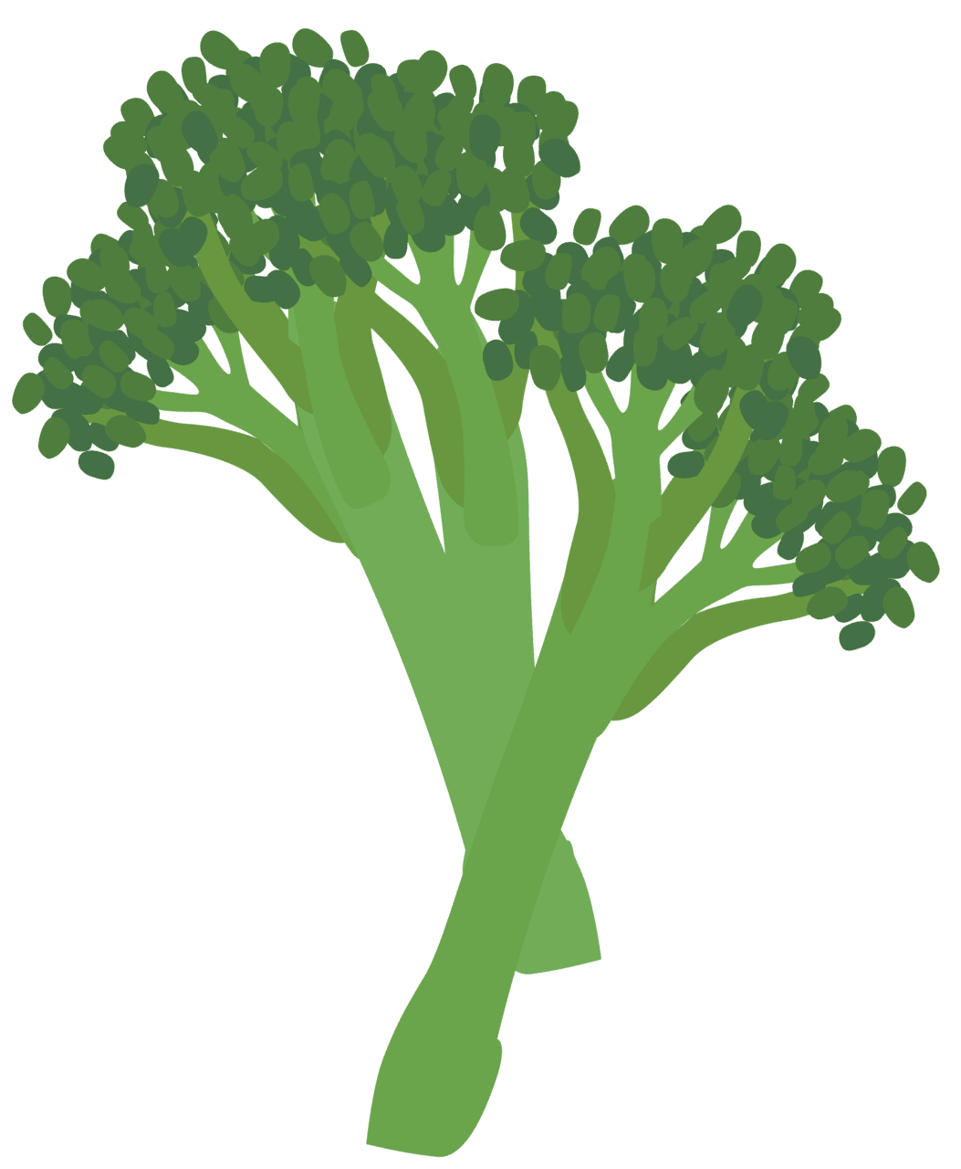 Jazzed up garlicky broccoli rabe clipart free