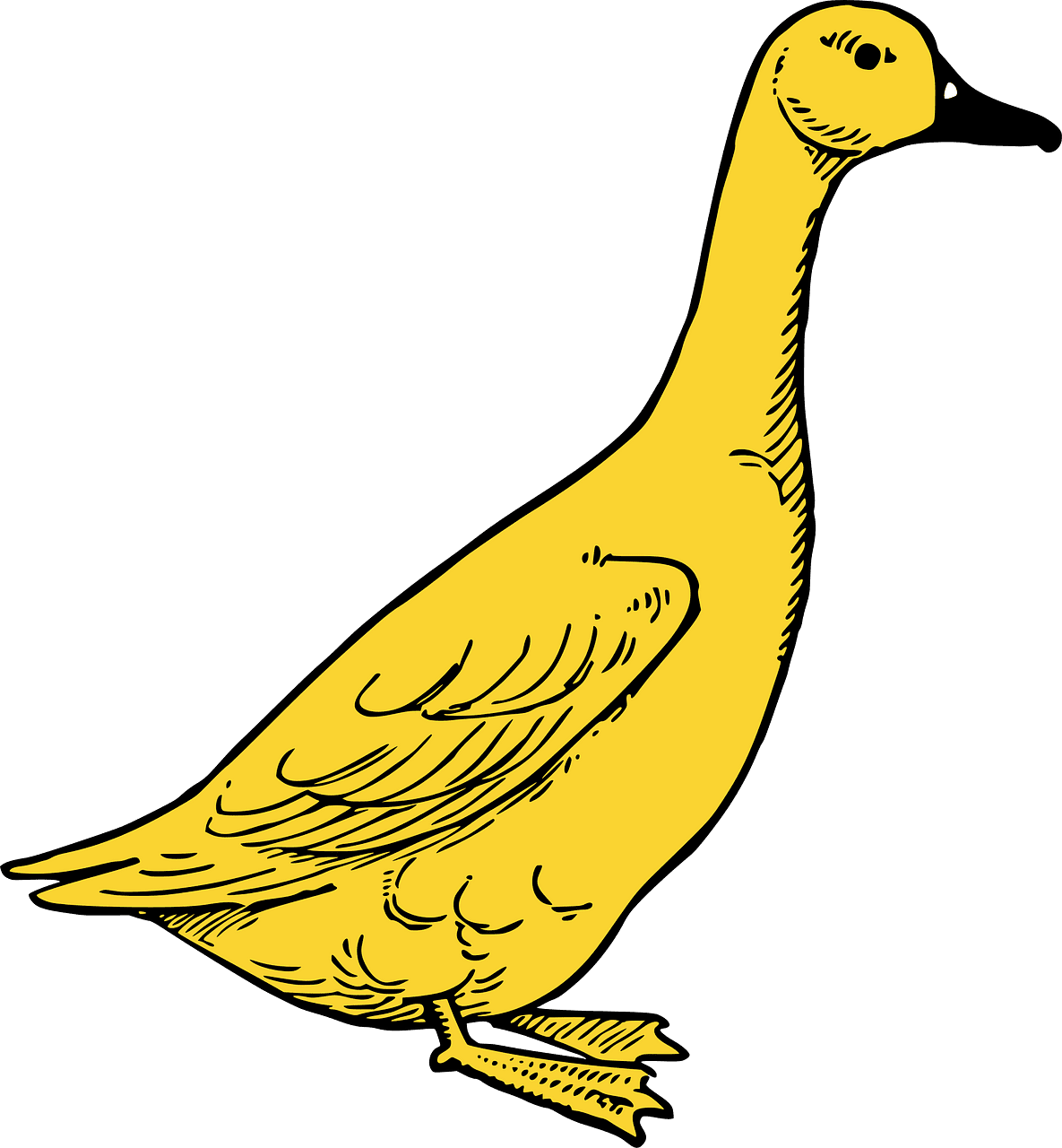 Goose vector clipart images 6