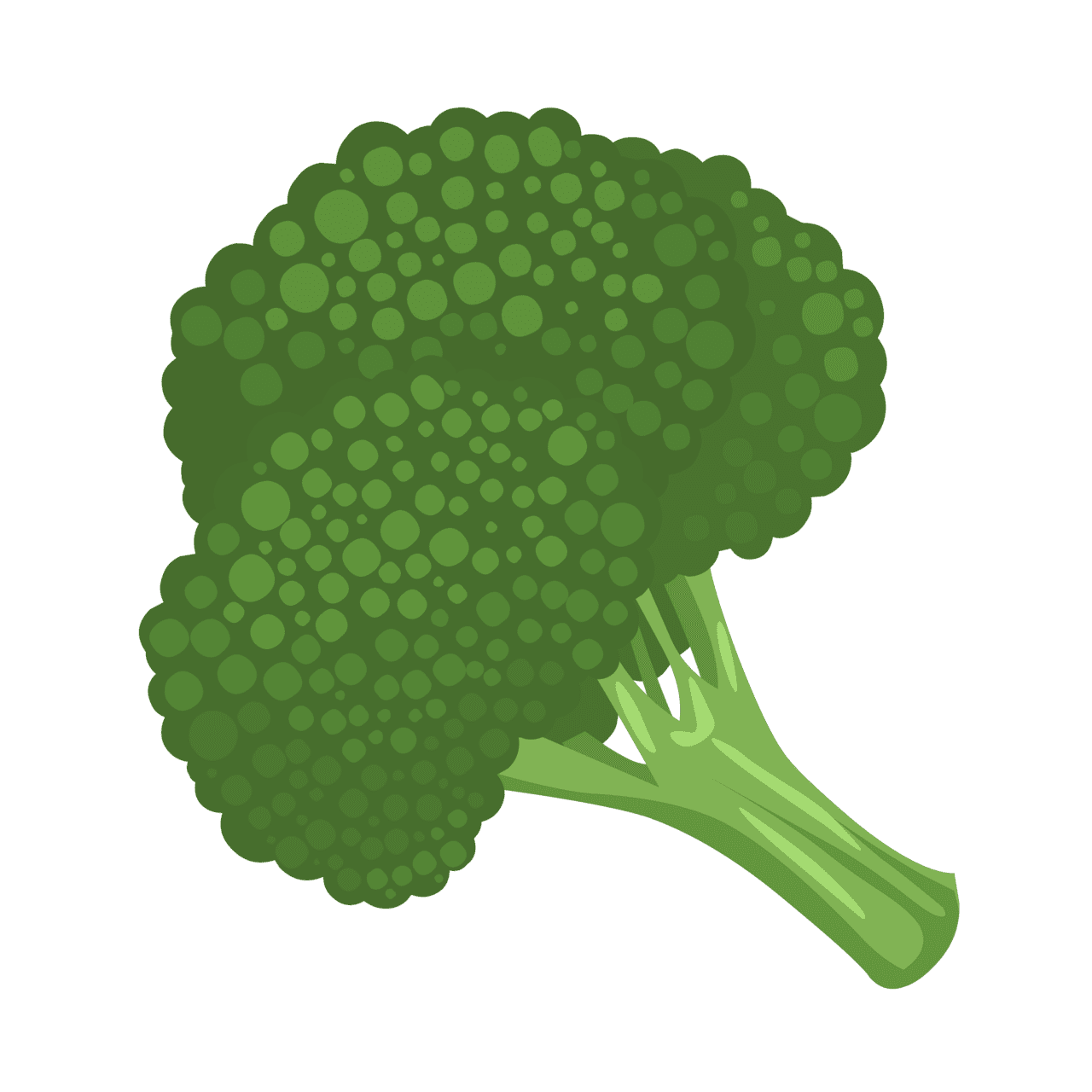 Food broccoli clipart image