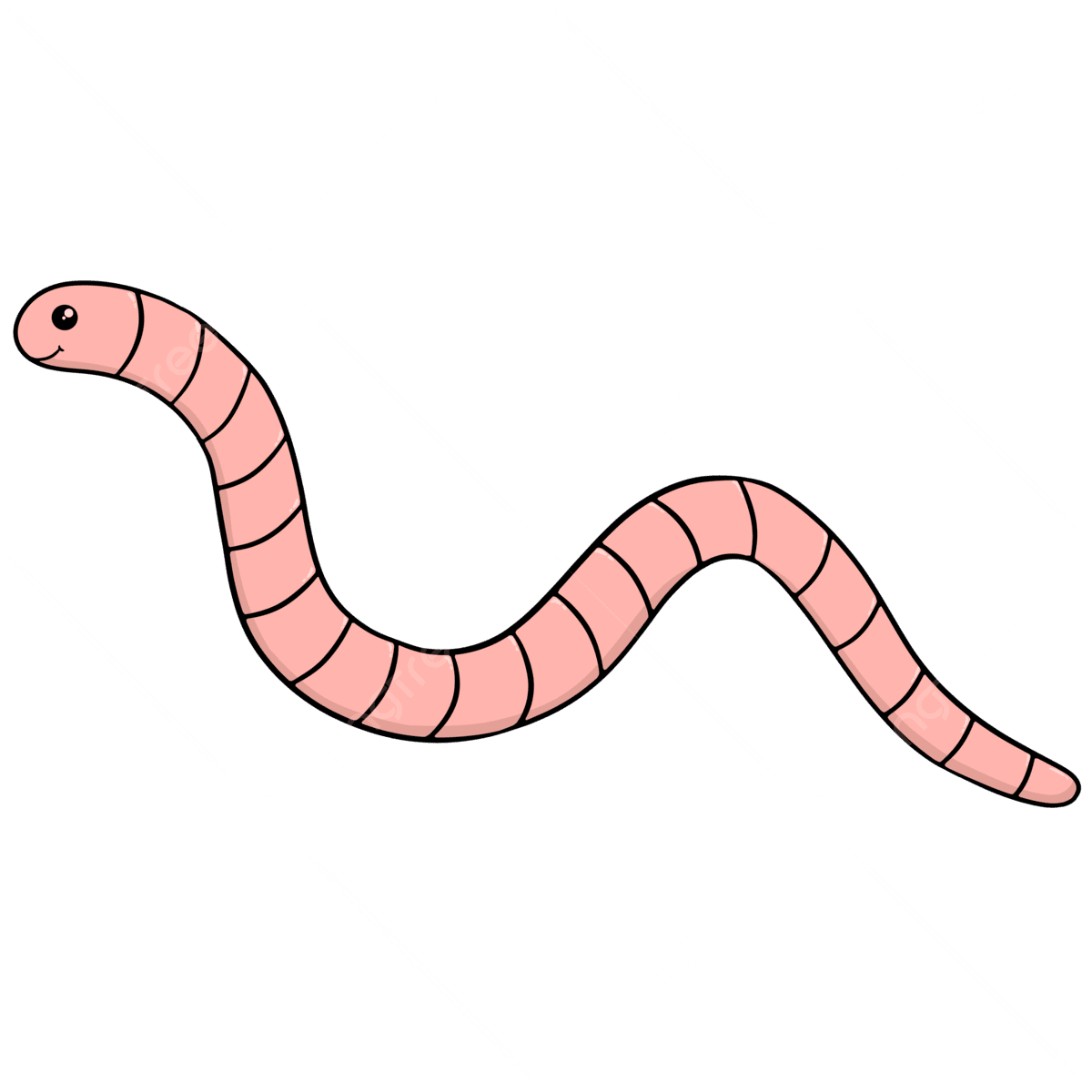 Cute worm cartoon clipart image and for