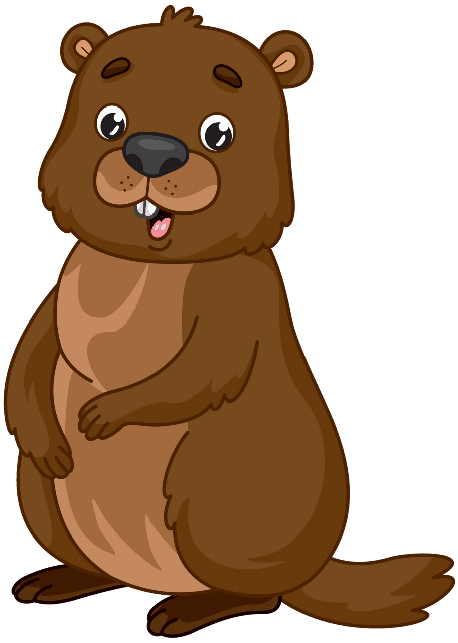 Groundhog vector clipart images