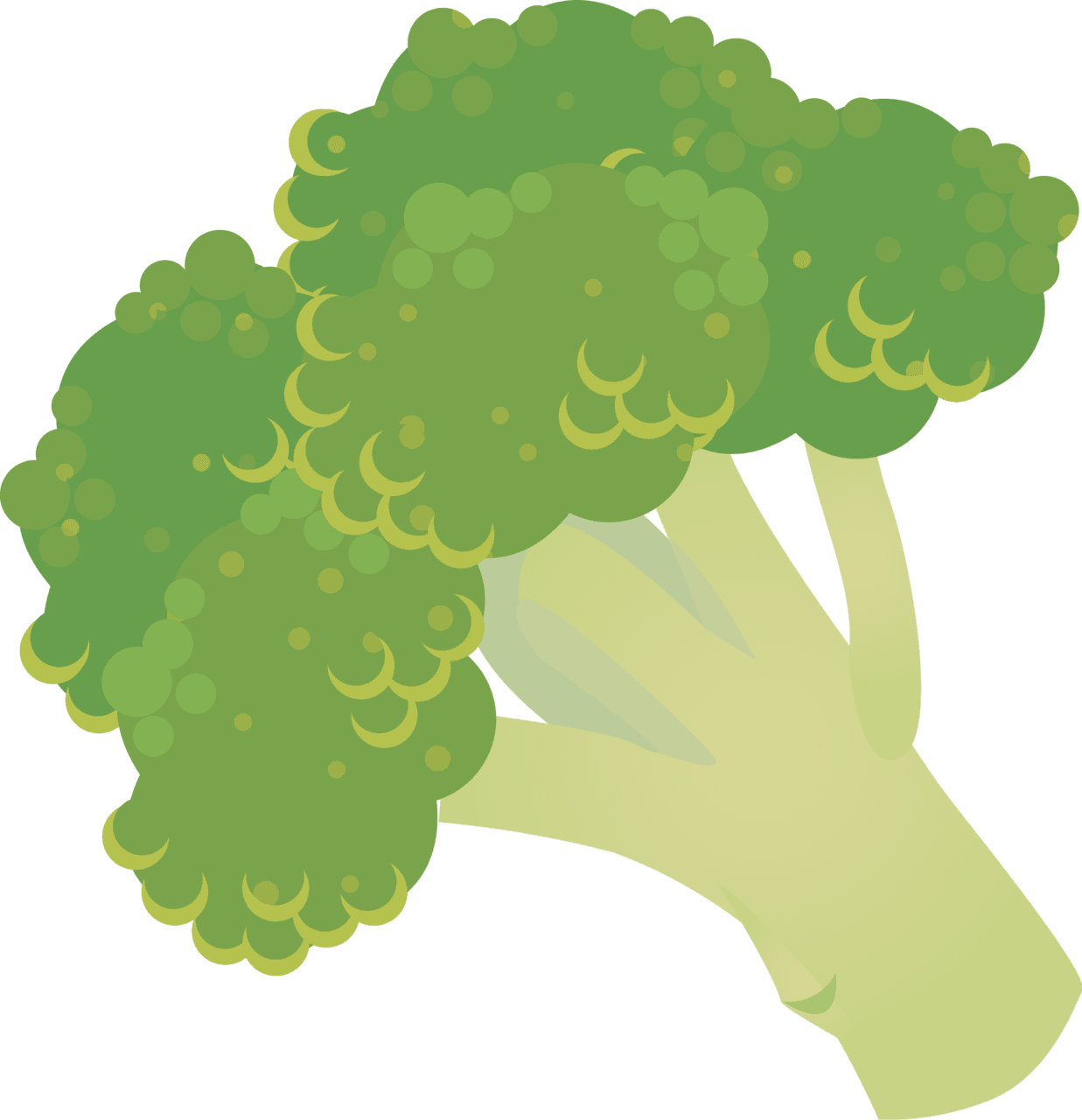 Broccoli vector clipart images 3