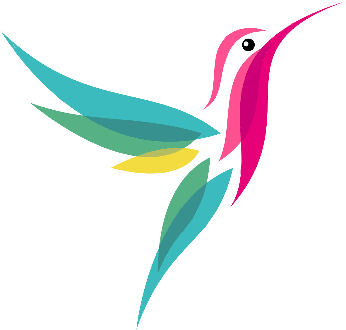 Hummingbird pin page clipart background