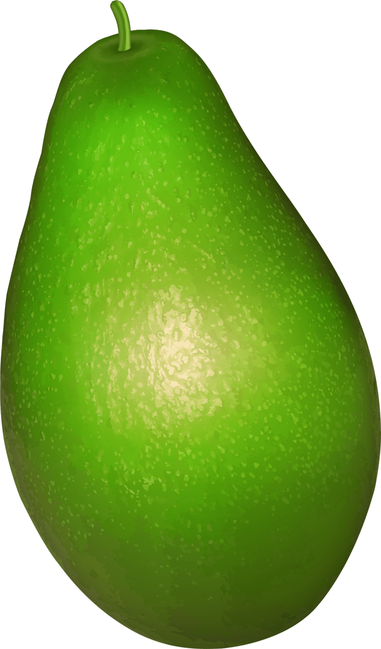 Avocado fruit clipart full size transparent