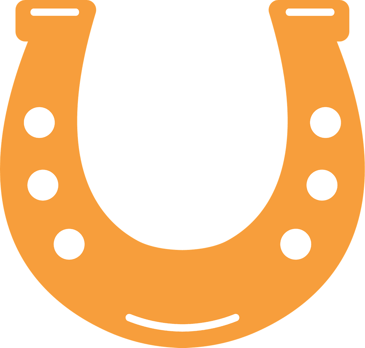 Horseshoe vector clipart images