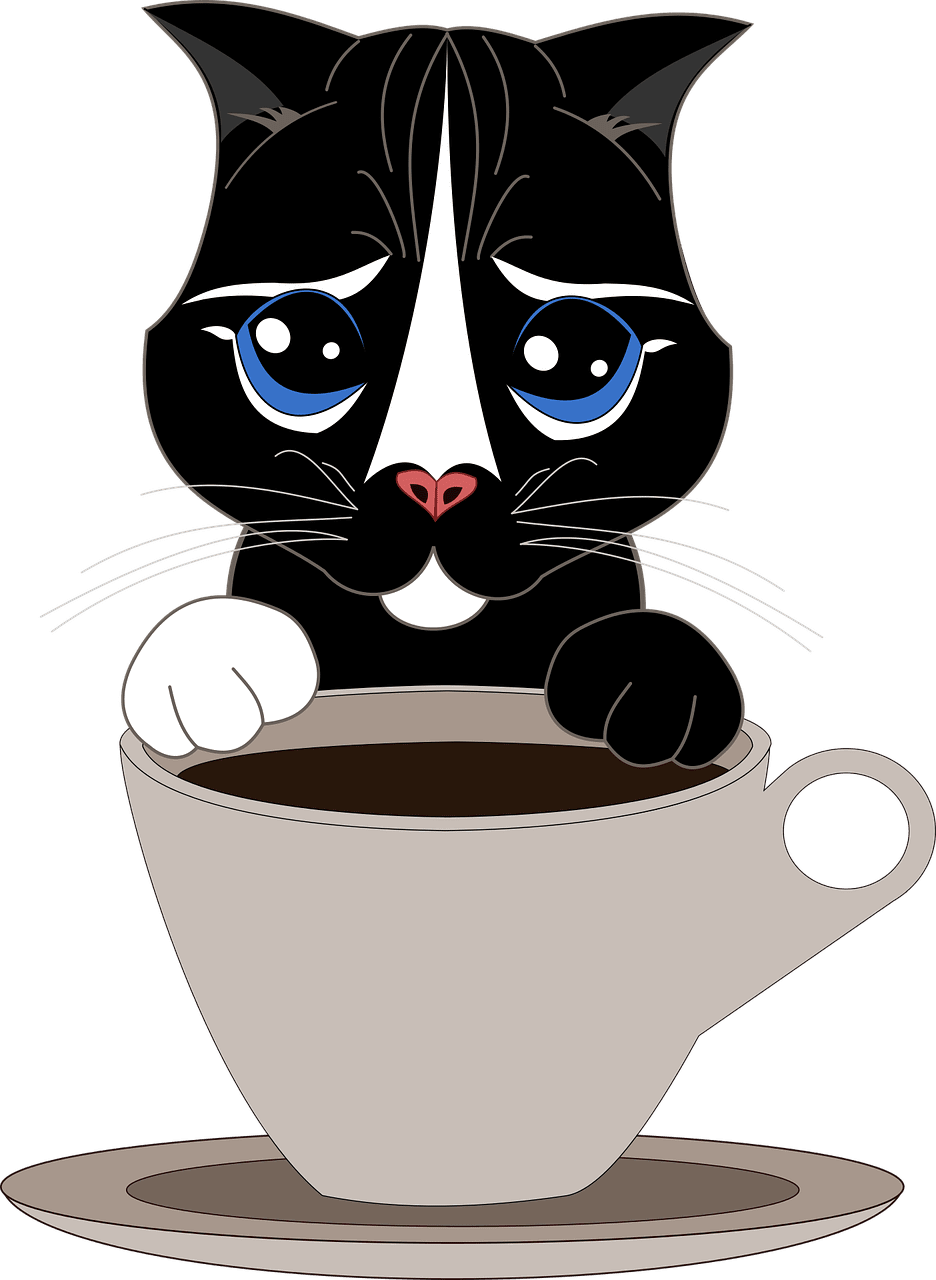 Cute cat le kawaii est quoi explication et audio clipart transparent