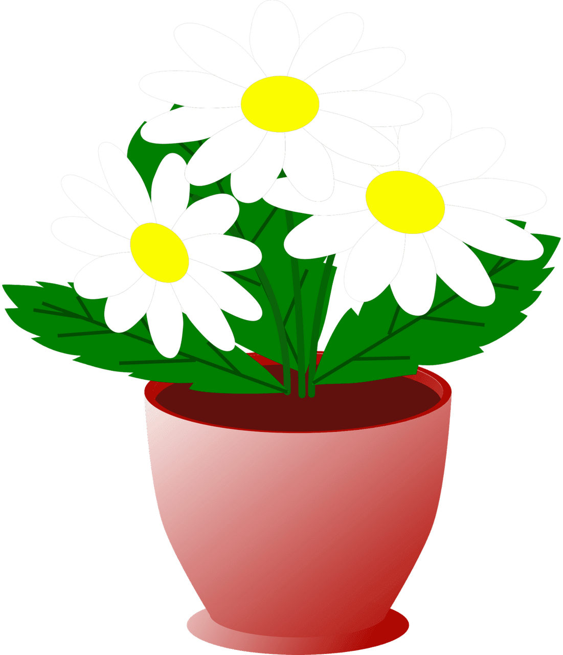 Flower pot daisies in vector clipart images