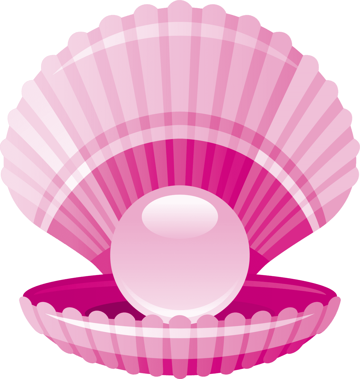 Clam pearl sea shell clipart full size image