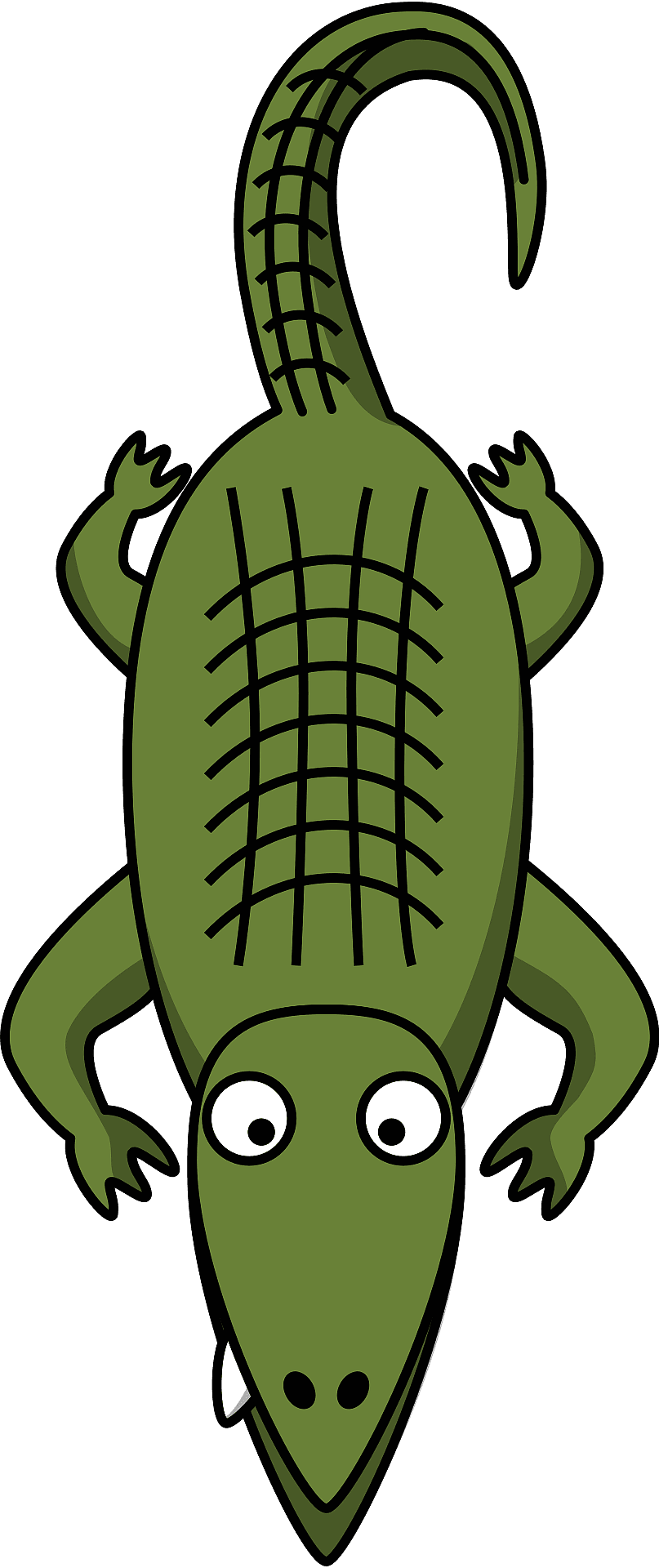 Alli gator with big eyes vector clipart images