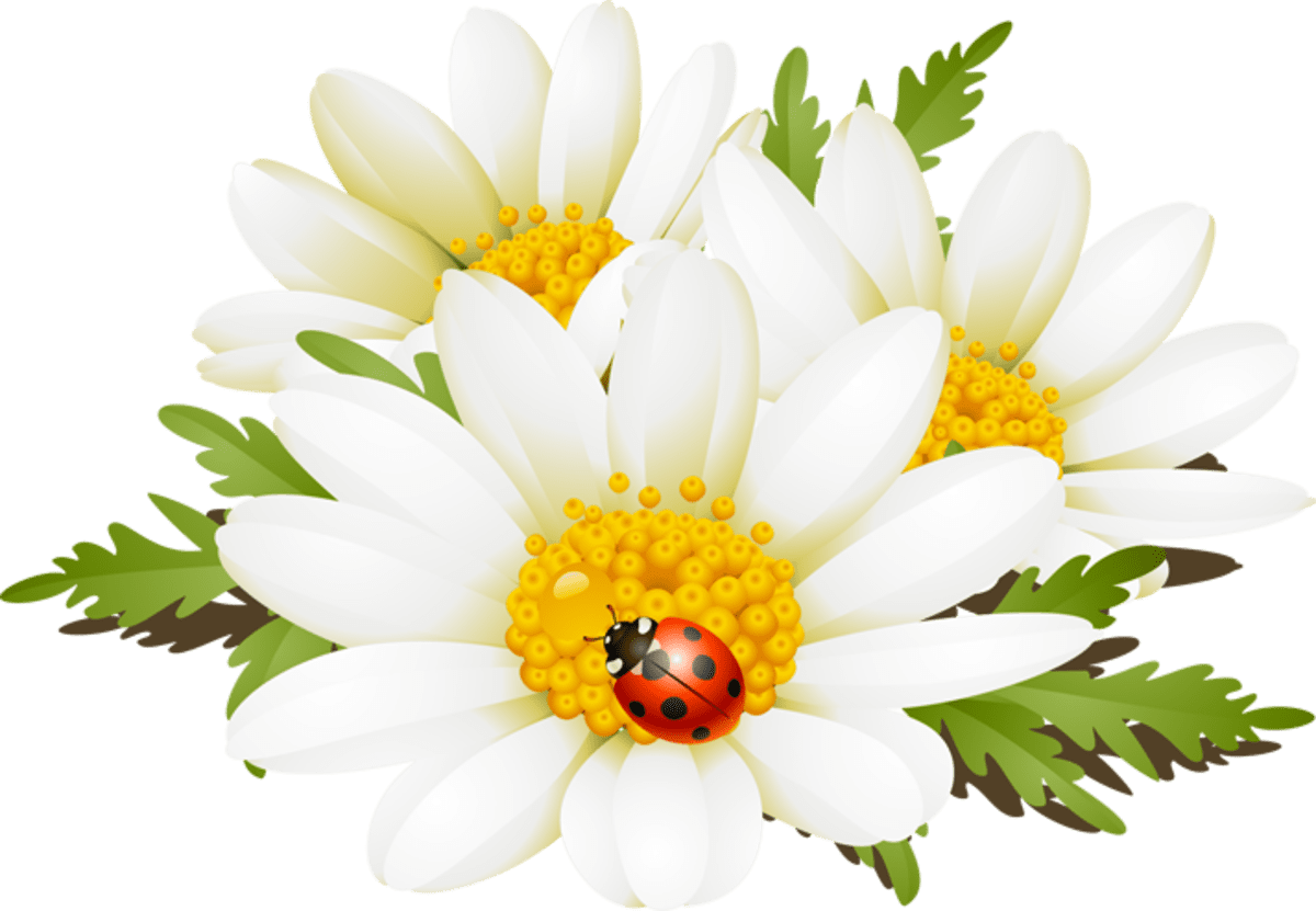 Bouquet spring clipart best image