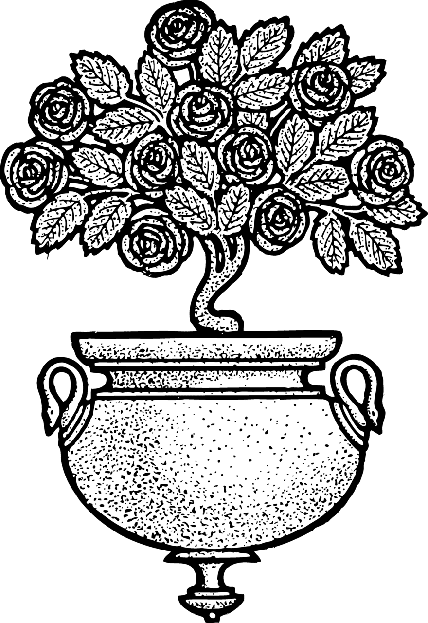 Flower pot vintage clipart black and white rose image with no background