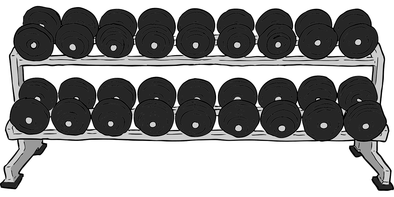 Dumbbell rack weights vector graphic clipart