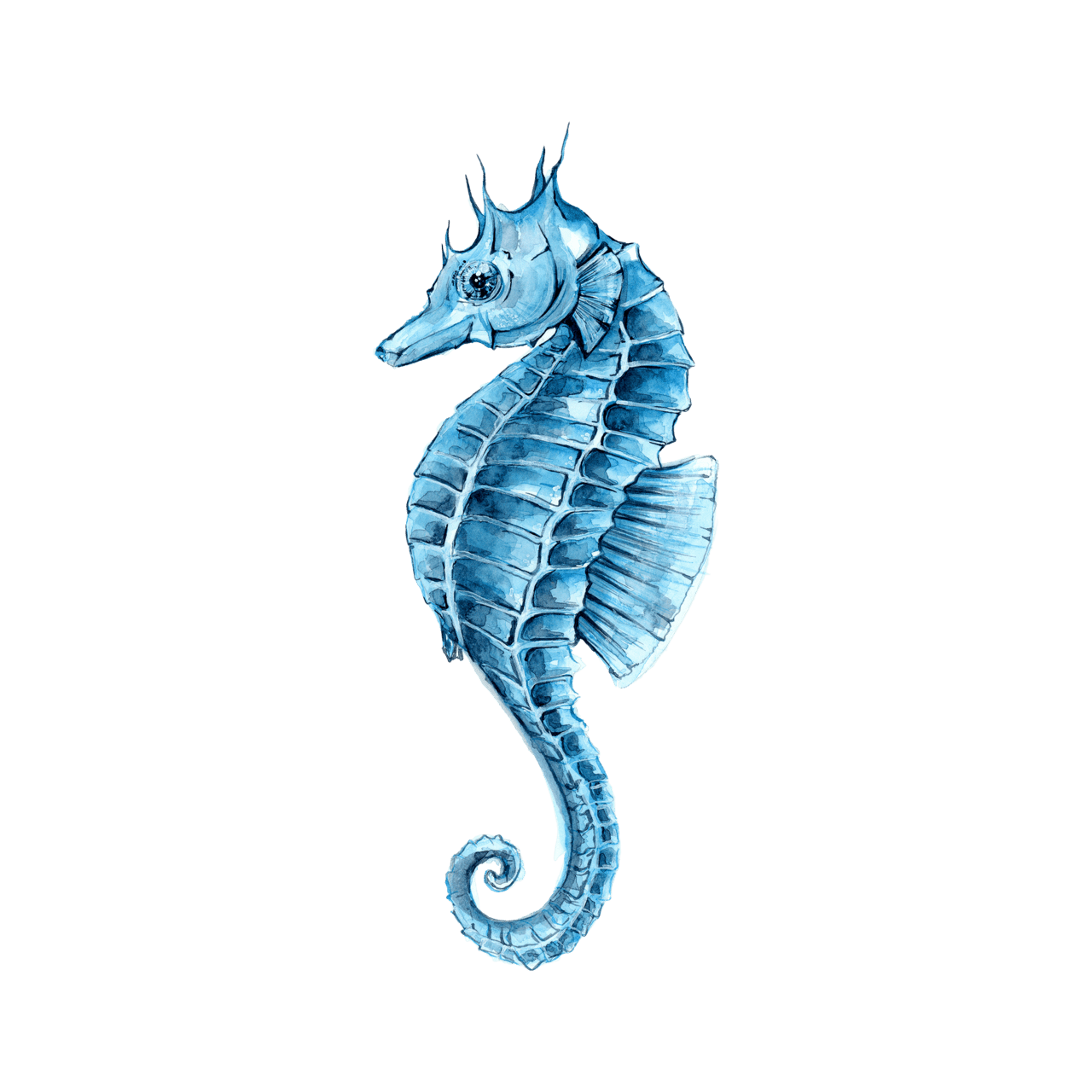 Seahorse pin page clipart logo