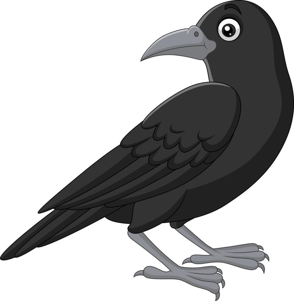 Crow clipart picture