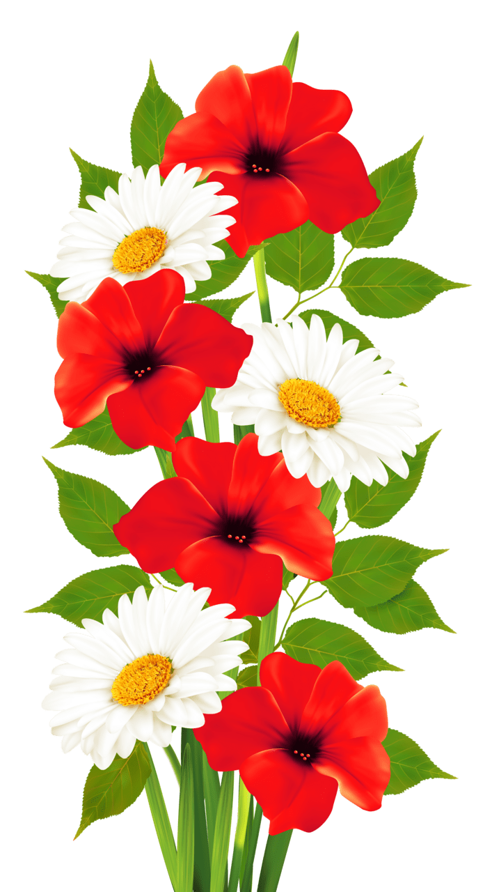 Bouquet of flowers poppies and daisies clipart logo