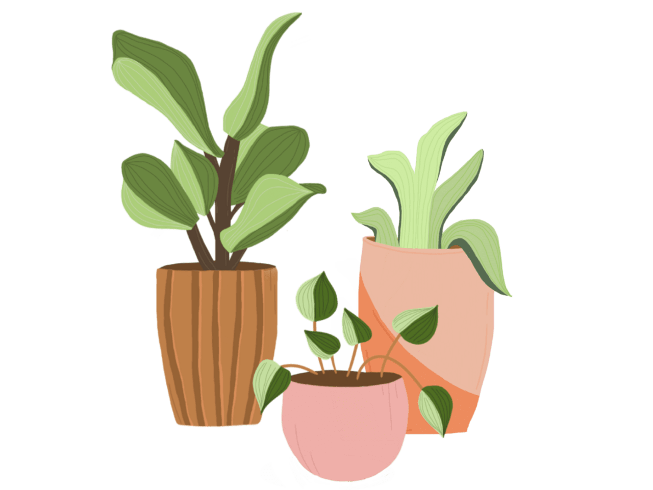 Flower pot potted plants clipart clip art