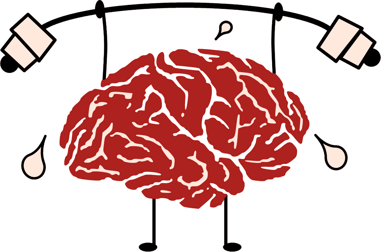 Brain training vector clipart images