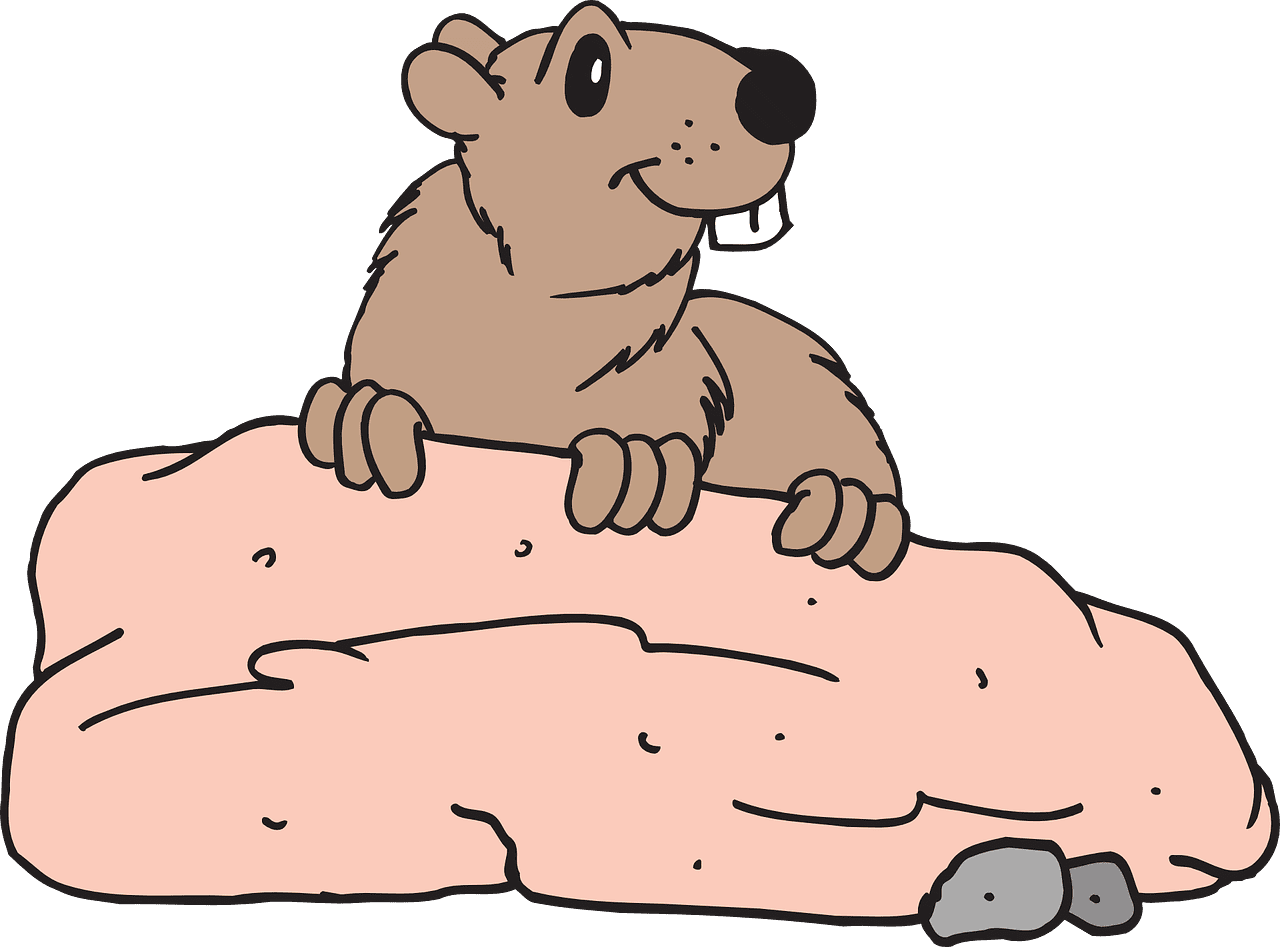 Rock beaver nature vector graphic clipart