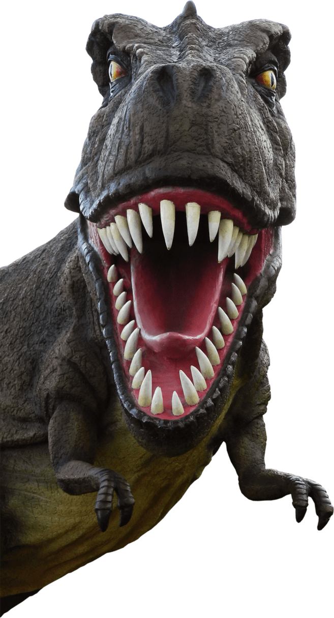 Rex dinosaur clipart photo