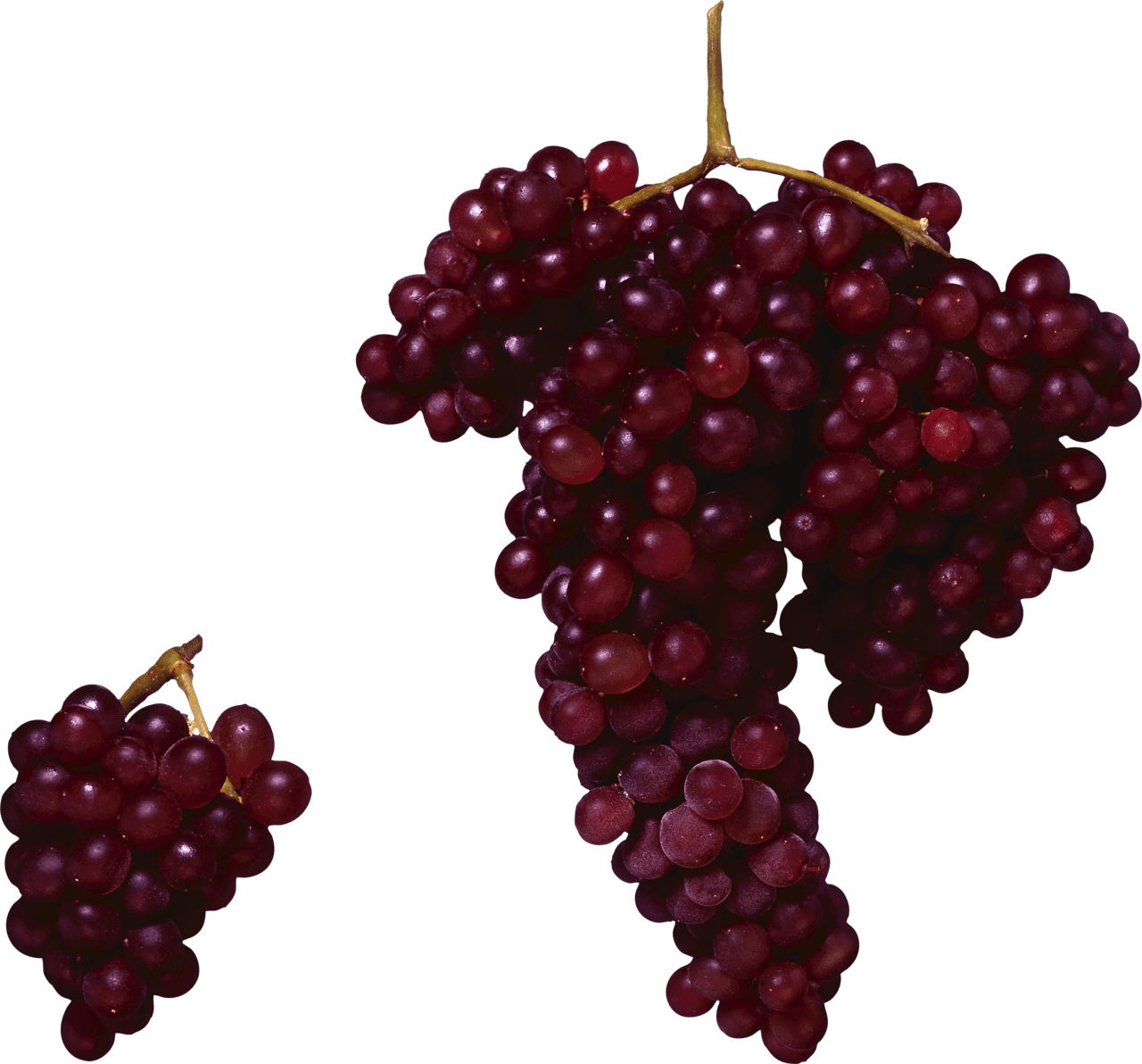 Grape clipart vector 3