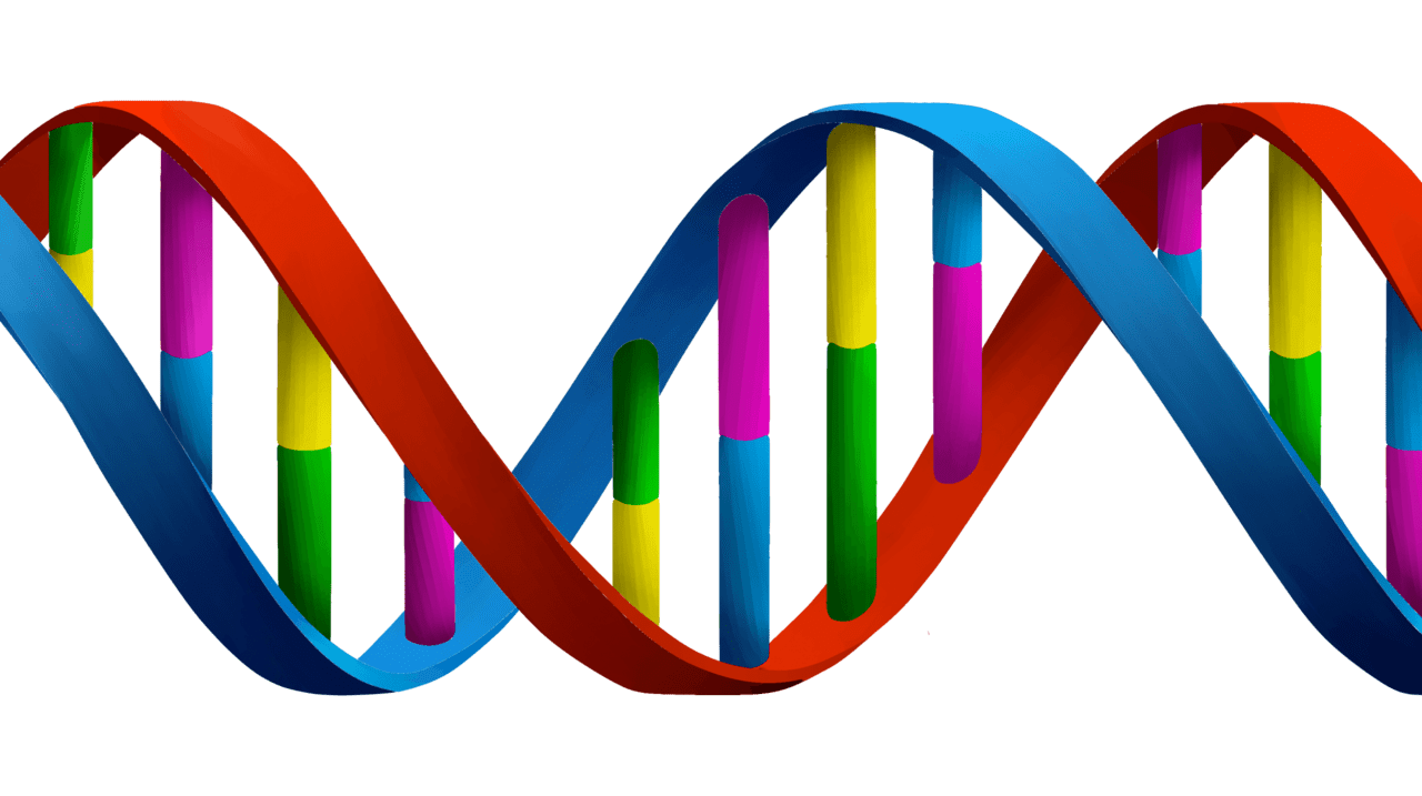 Algorithms for dna sequencing clipart image