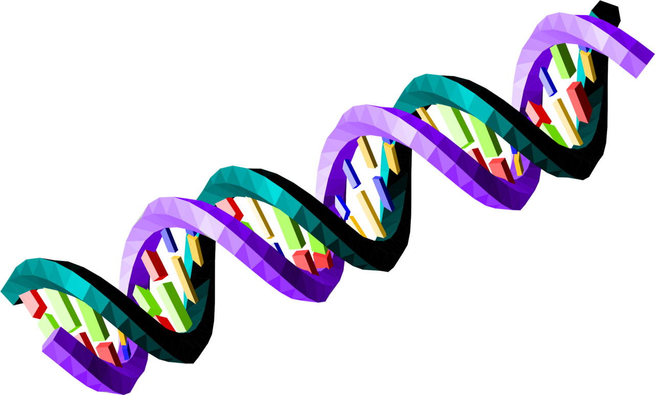 Big image ds dna strand clipart