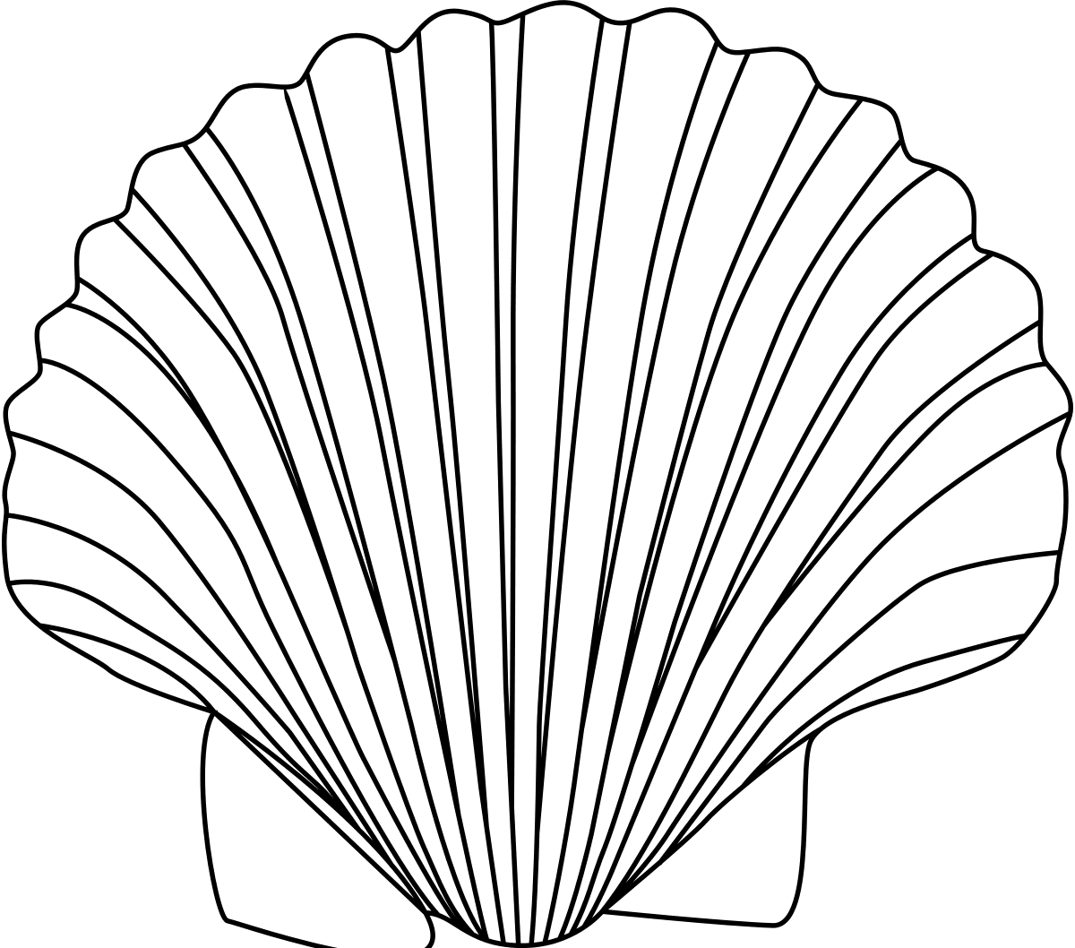 Shell clipart black and white images