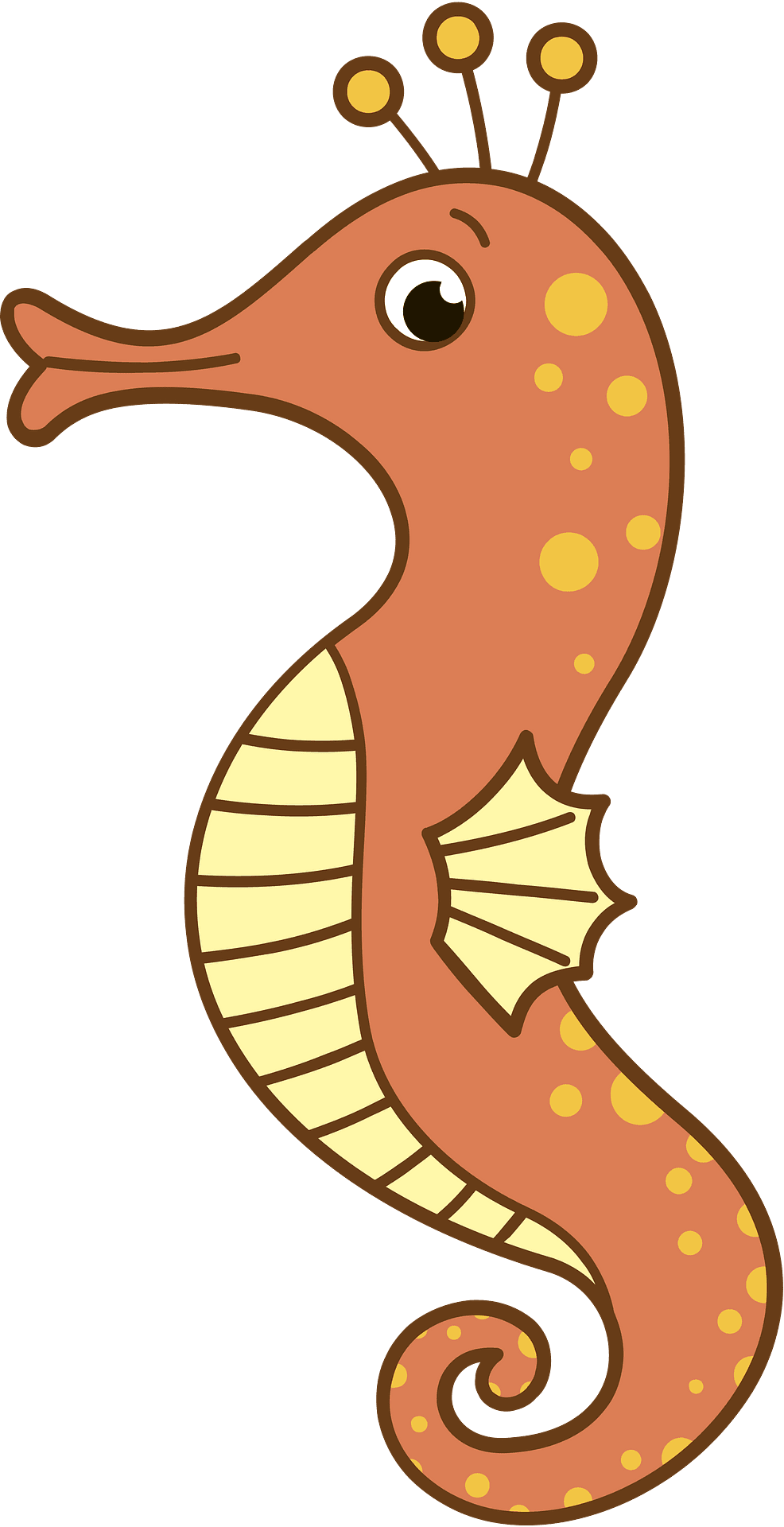 Seahorse vector clipart images 4