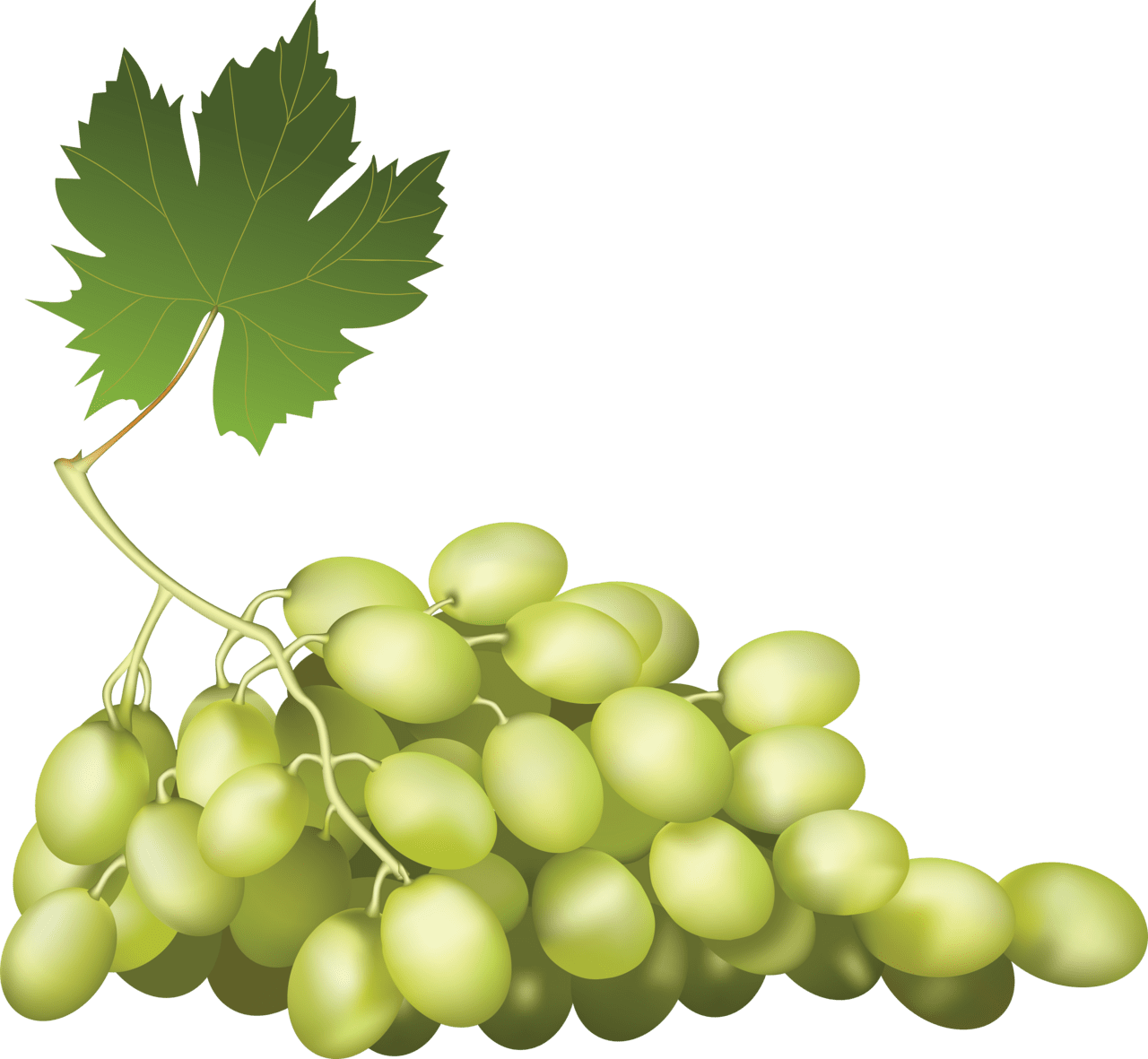 Green grape image for clipart