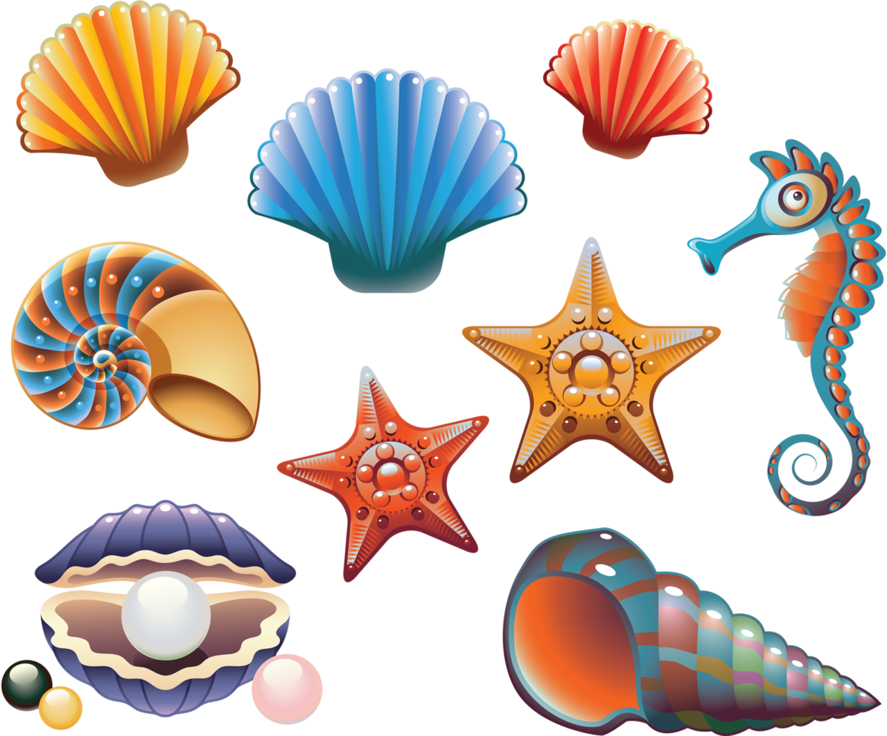 Shell clipart vector