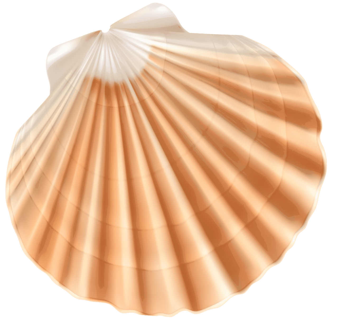 Shell pin page clipart free