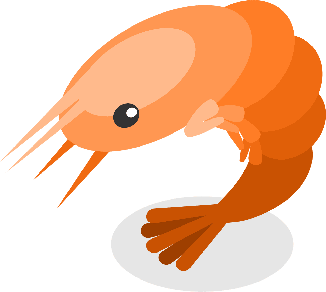 Shrimp vector clipart images 11