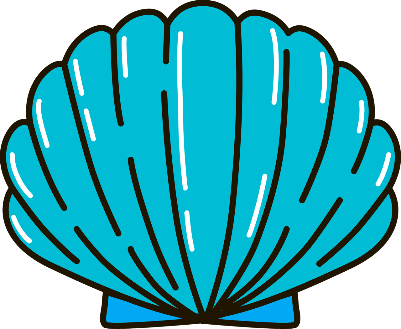 Sea shell vector clipart images