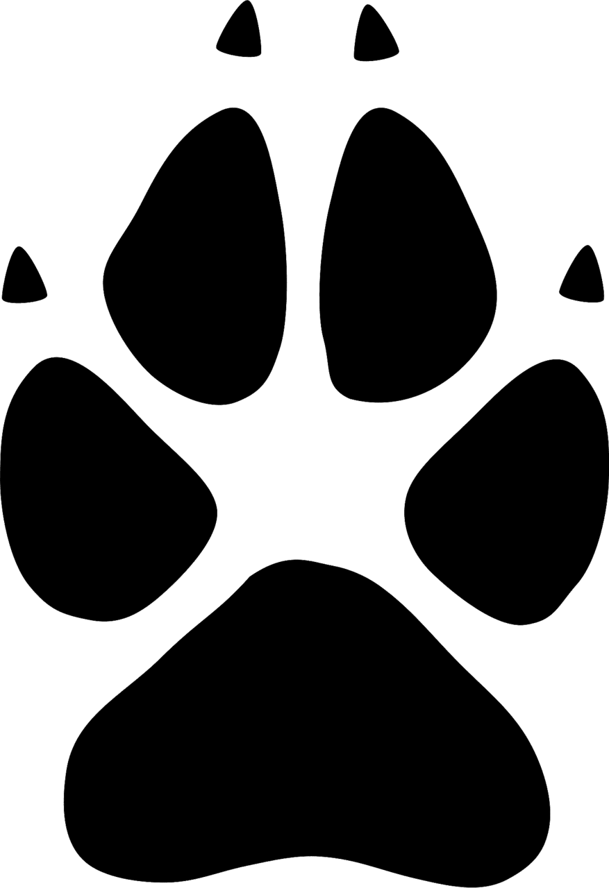 Wolf footprint vector clipart images