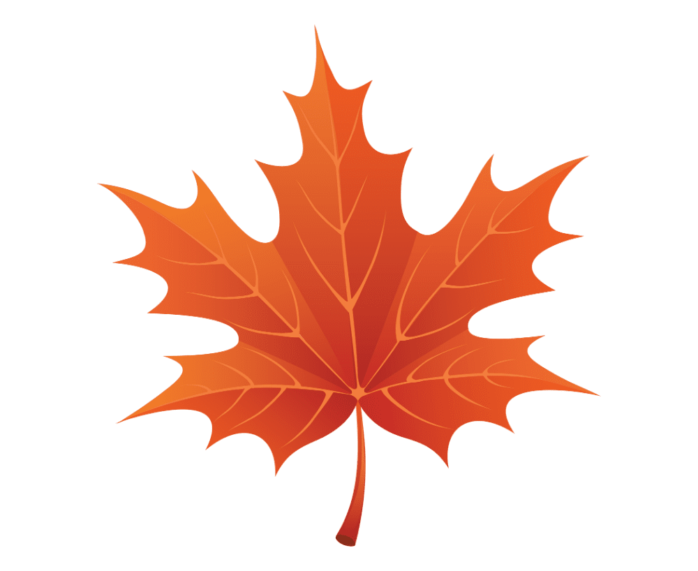 Fall pictures autumn leaves images hd photo clipart