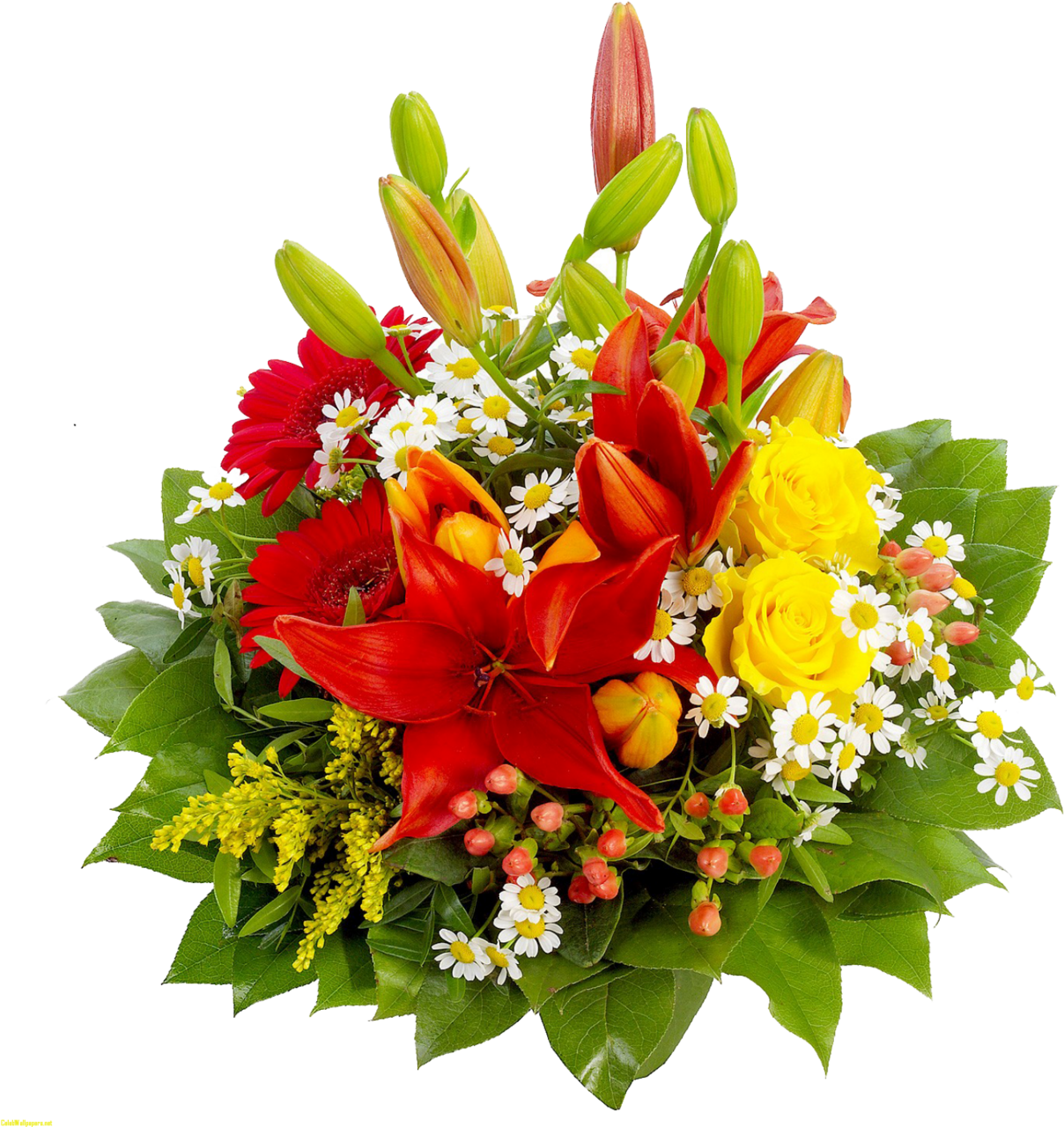 Flower bouquet pictures of flowers background clipart