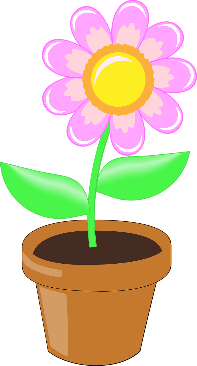 Flower pot plants image clipart