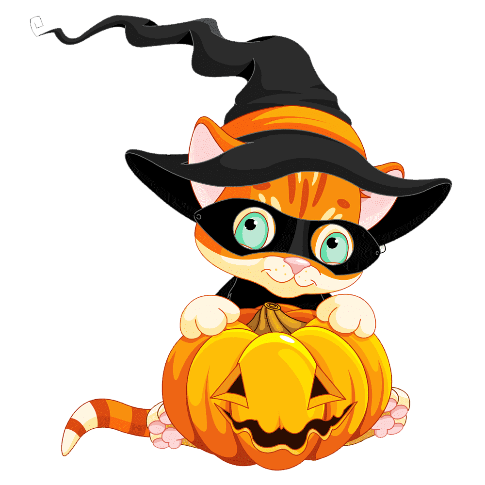 Cat in the hat halloween with pumpk images hd photo clipart