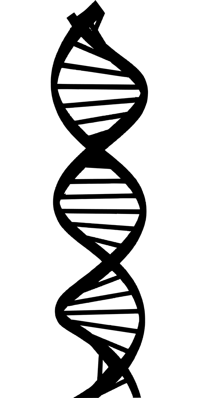 Silhouette dna biology vector graphic clipart