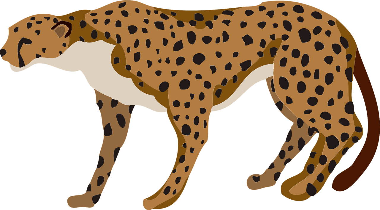 Cheetah vector clipart images