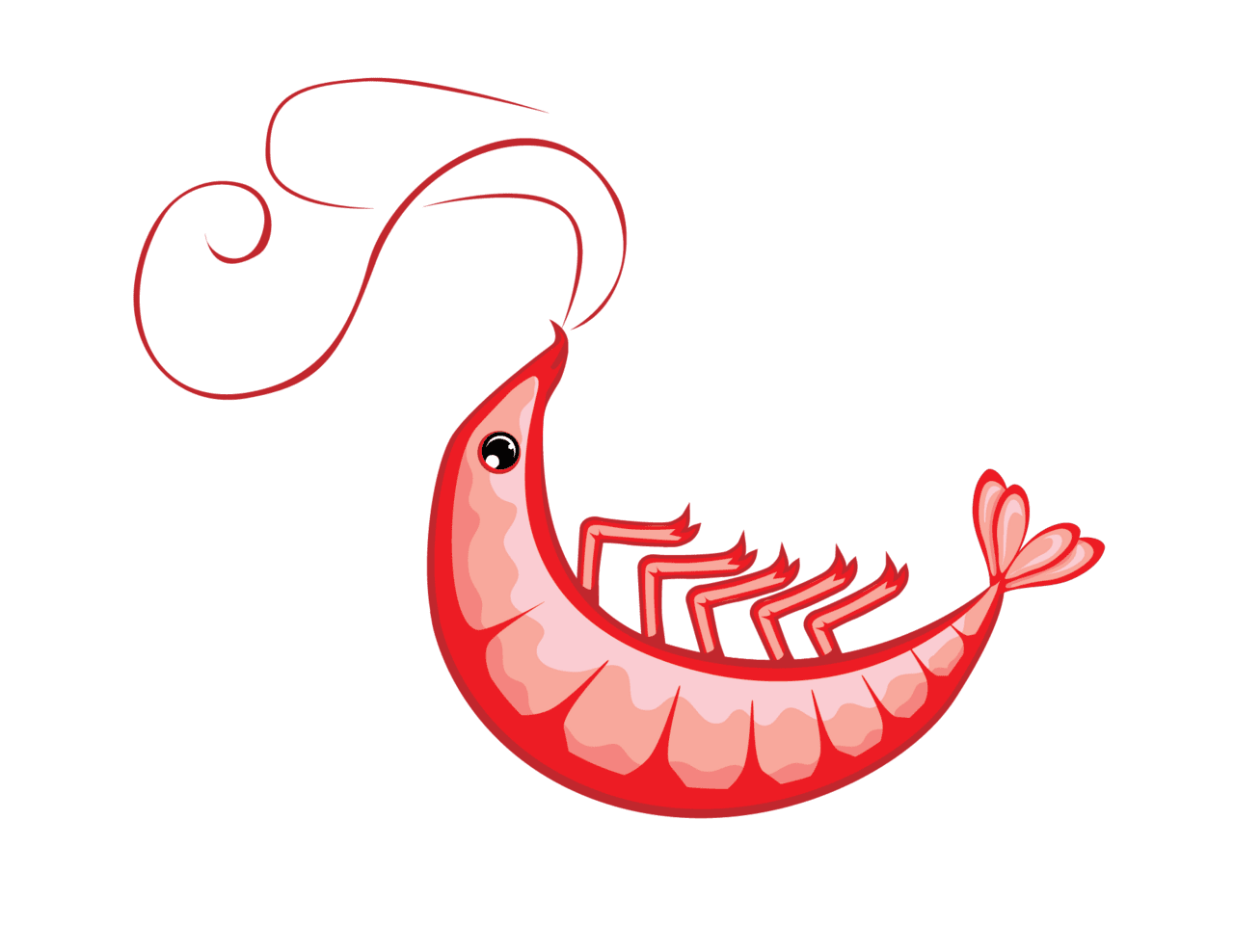 Shrimp clipart new orleans vector